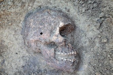 İskeletli arkeolojik kazı