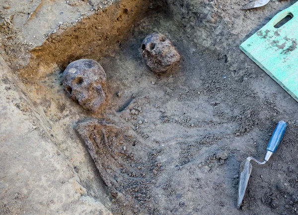 Excavación arqueológica con esqueletos — Foto de Stock