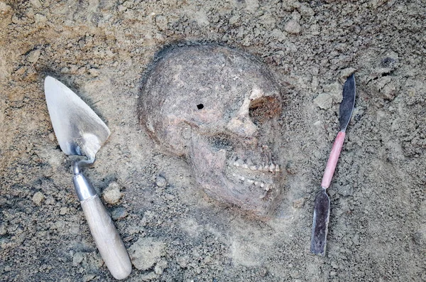 Archaeological excavation with skeletons — Stock Photo, Image