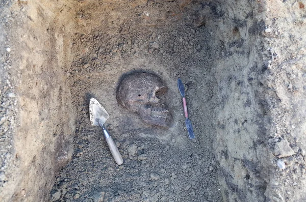 Archäologische Ausgrabung mit Skeletten — Stockfoto