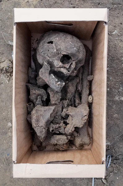 Excavación arqueológica con esqueletos — Foto de Stock