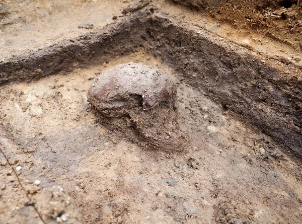 Excavación arqueológica con esqueletos — Foto de Stock