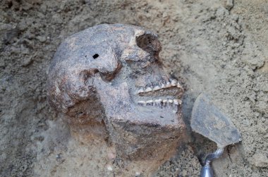 İskeletli arkeolojik kazı