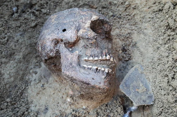 Excavación arqueológica con esqueletos —  Fotos de Stock