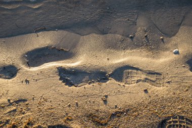 Su kenarında üzerinde ayak izleri
