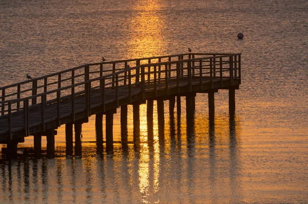 Belo nascer do sol no verão pelo mar tranquilo — Fotografia de Stock