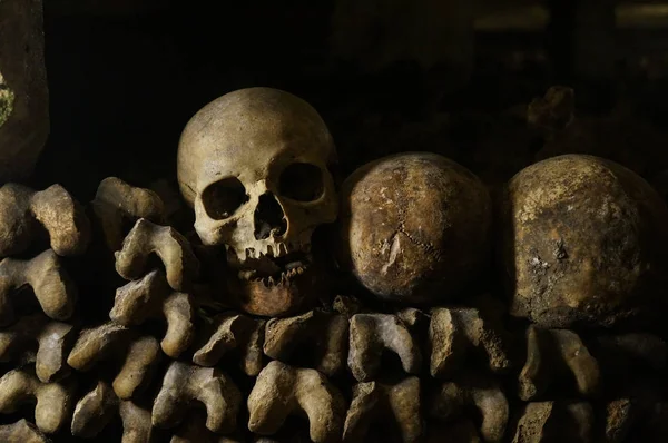 Kości, szkielety i czaszki — Zdjęcie stockowe