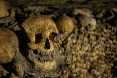 Kemikler, iskeletler ve kafatasları.