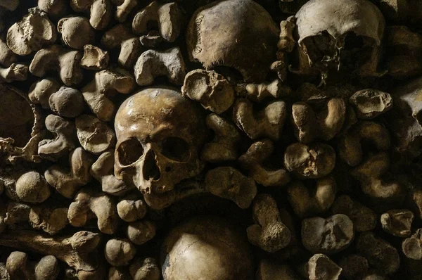 Knochen, Skelette und Schädel — Stockfoto