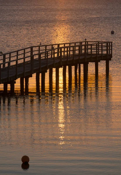 Belo nascer do sol no verão pelo mar tranquilo — Fotografia de Stock