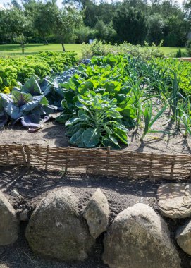 Ev yapımı sebzeli sebze bahçesi