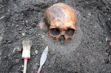 Hala yarısı toprağa gömülü kafatası ile arkeolojik kazı