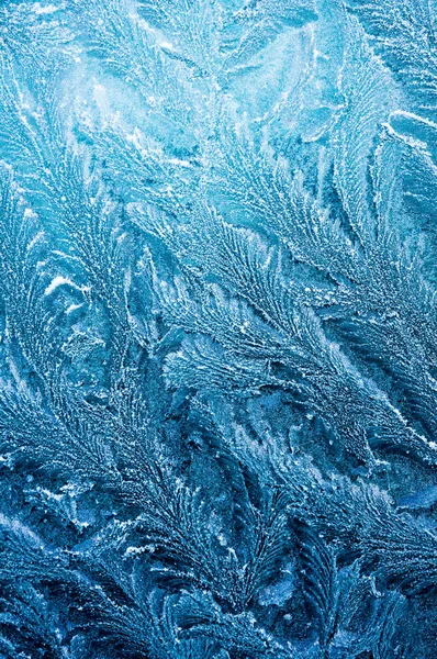 La helada helada forma cristales de hielo en hermosos patrones únicos — Foto de Stock