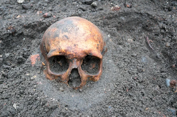 Wykopaliska archeologiczne z czaszki, nadal połowę zakopany w ziemi — Zdjęcie stockowe
