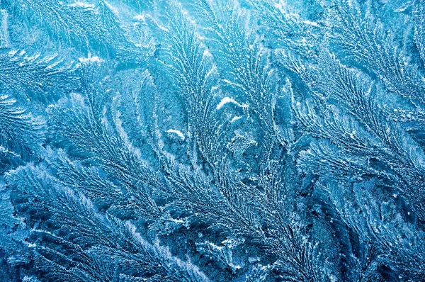 冷たい霜フォーム氷の結晶が美しいユニークな模様 ロイヤリティフリーのストック画像