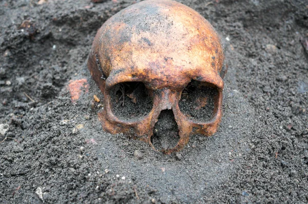 Excavación arqueológica con cráneo aún medio enterrado en el suelo — Foto de Stock