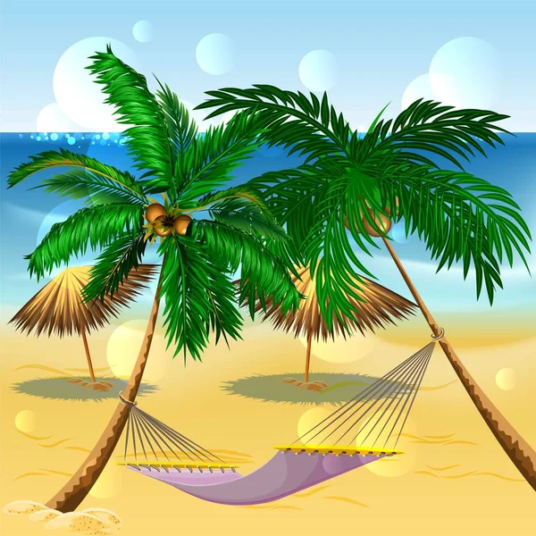 海滩度假。棵棕榈树之间的吊床. — 图库矢量图片