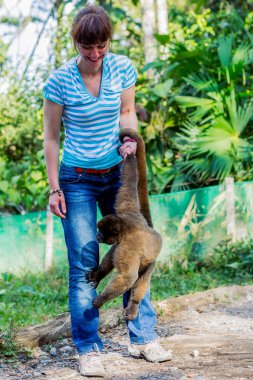 Bir Jack Russell Terrier yetişkin ile oynarken Napoliten Mastiff köpek yavrusu
