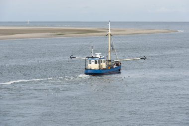 Wadden Denizi balıkçı teknesi