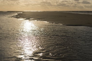 Güneş ışınları Vlieland Kuzey Denizi Beach