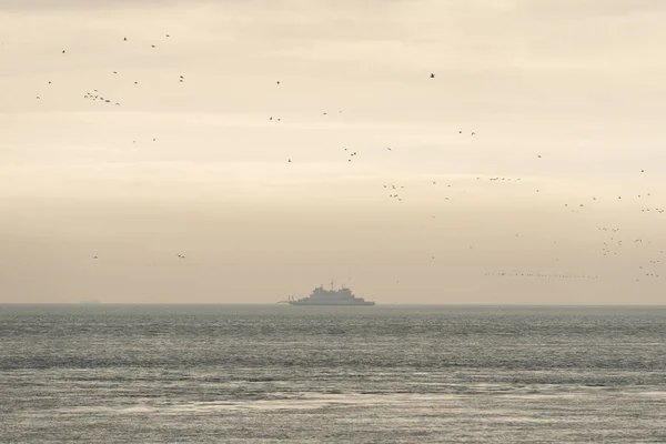 Kuşlar tarafından çevrili Wadden Denizi üzerinde eski feribot — Stok fotoğraf