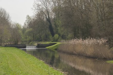 Akış Hollanda Slingebeek