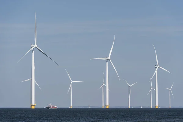 Windpark im Wasser — Stockfoto