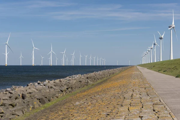 Parc éolien dans l'eau et sur terre — Photo