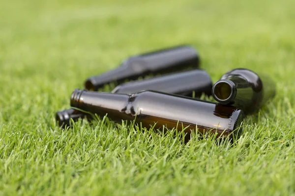 Empty beer bottles in the grass — Stock Photo, Image