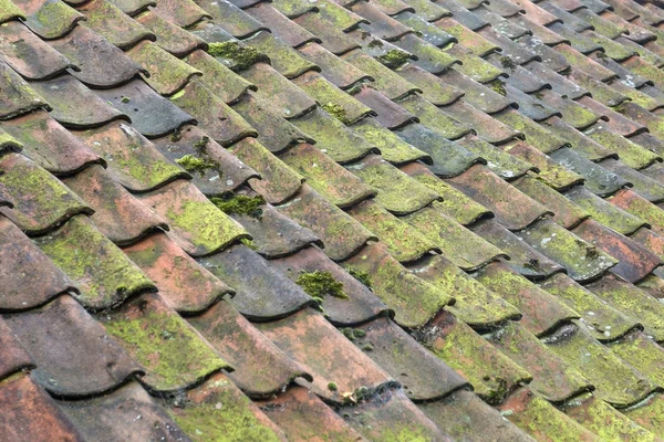 Alte bunte Dachziegel auf einem Bauernhof — Stockfoto