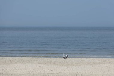 Kumsalda güneşlenirken tek bir kişi