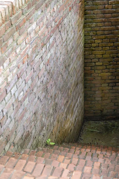 Kamienne schody w starym niemieckim bunkrze — Zdjęcie stockowe