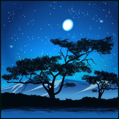 Ağaçlar, yıldızlı gece