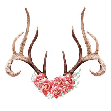 Geyik boynuzları, kelebekler ve yaprakları ile güzel elle çizilmiş suluboya çiçek .