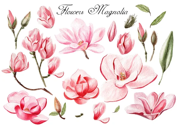 Set de acuarelas con flores y hojas de magnolia . — Foto de Stock