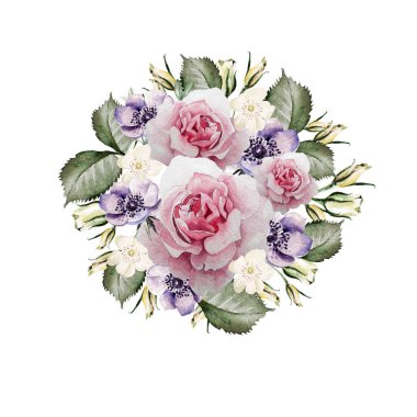 Gül ve çiçek anemone güzel suluboya. Dügün Sepeti.