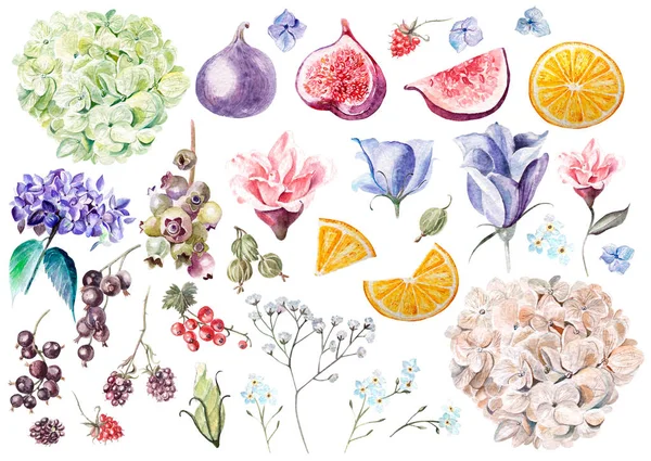 Aquarelle sertie de fleurs hortensia, eustomiya, fleurs sauvages, pivoine, rose . — Photo