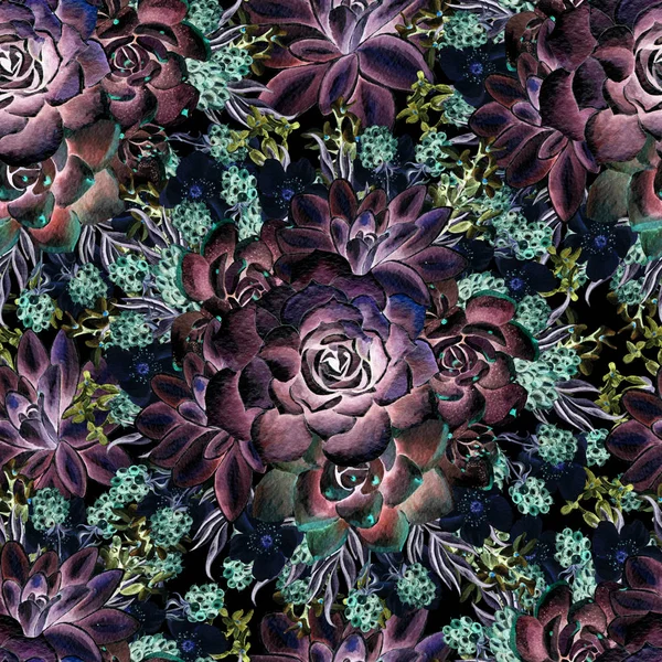 Prachtige aquarel patroon met lavendel en vetplanten. Bramen. Illustraties. — Stockfoto