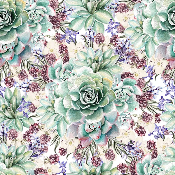 Beautiful watercolor pattern with lavender and succulents. Blackberries. — Stock Photo, Image