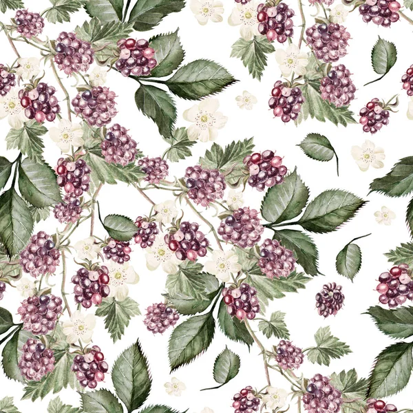 Watercolor pattern with berries and blackberry leaves. — Stock Photo, Image