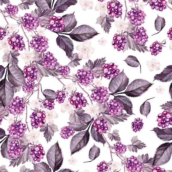 Aquarel patroon met bessen en bladeren van de blackberry. — Stockfoto