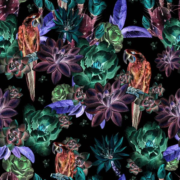Patrón de acuarela con flores de peonía, rosa, suculentas, cactus y loro azul . — Foto de Stock