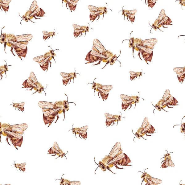 Watercolor pattern with bees. — Stock Photo, Image