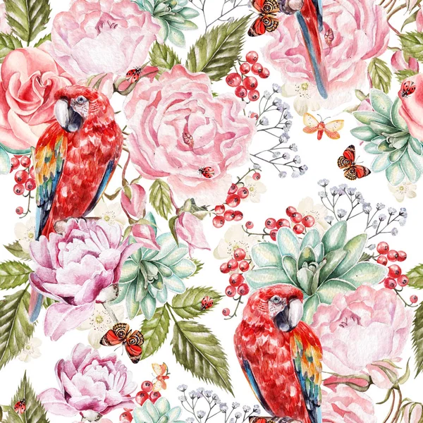 Belo padrão de aquarela com flores rosas, peônia, suculentas. Groselha de bagas e papagaio de pássaro. i) — Fotografia de Stock