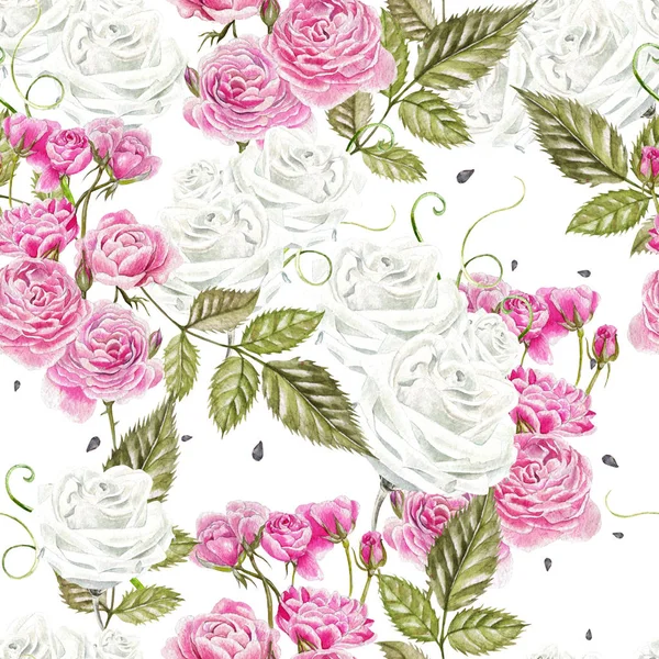 Varrat nélküli mintát akvarell virágokkal. Rose. Kézzel rajzolt. — Stock Fotó