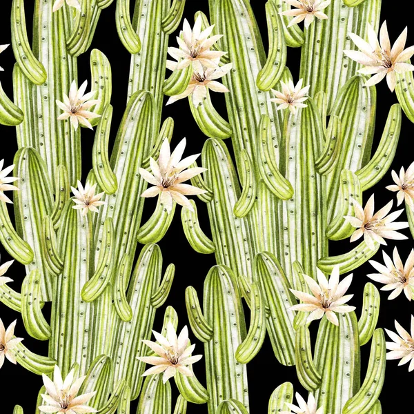 Aquarel patroon met cactus . — Stockfoto