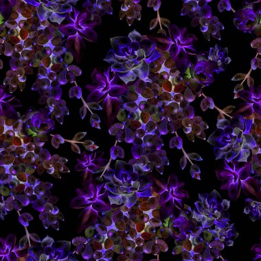 Suluboya succulents desenle. 