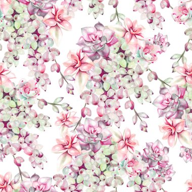 Suluboya succulents desenle. 