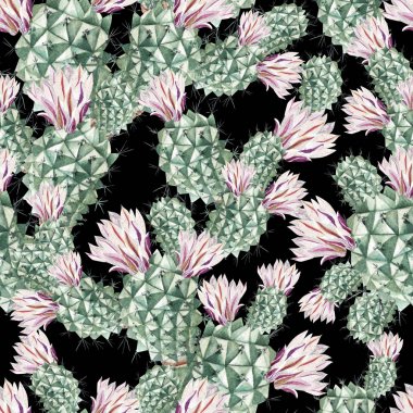 Kaktüs ile suluboya desen .