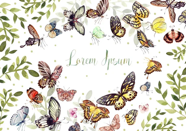 Cartão de aquarela com belas borboletas Ilustração — Fotografia de Stock